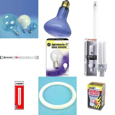 Picture for category Light Bulbs